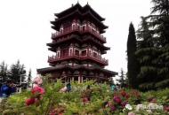 河南旅游策划：真火爆！15万人涌进三门峡天鹅湖湿地公园牡丹园