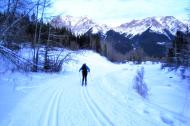 河南旅游市场运营：发展冰雪旅游 让冰天雪地变成金山银山